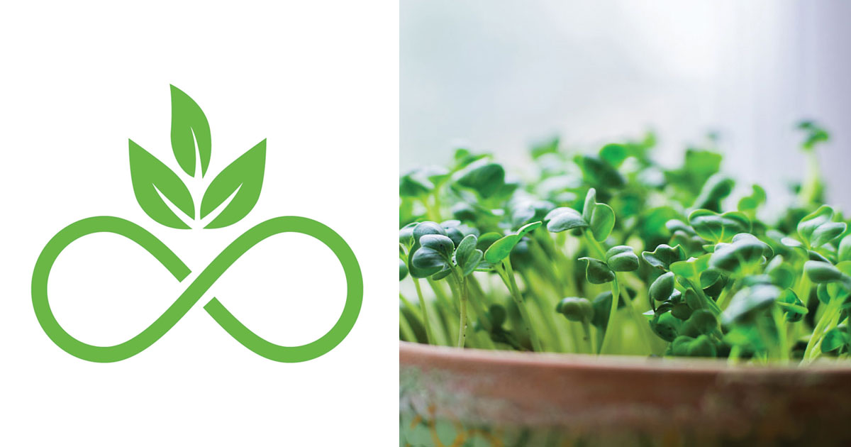 Recipes From Infinite Harvest Indoor Hydroponic Vertical Farm