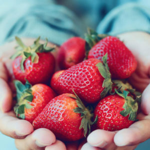 strawberry salad microgreens recipe