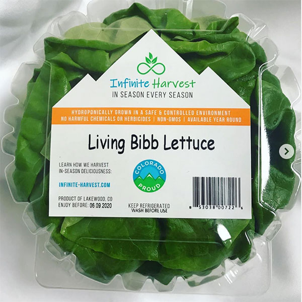 Living Bibb Lettuce.